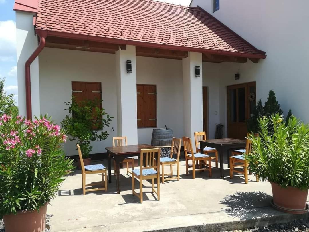 Apartman Beck Pince